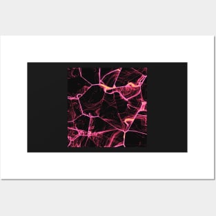 Spider pink Web Art Posters and Art